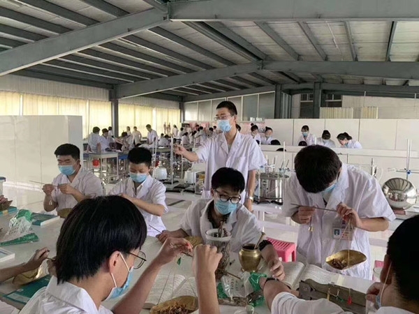 石家莊天使護(hù)士學(xué)校中藥學(xué)3+3大專 石家莊天使護(hù)士學(xué)校中藥學(xué)3+3大專